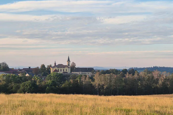 Čestín